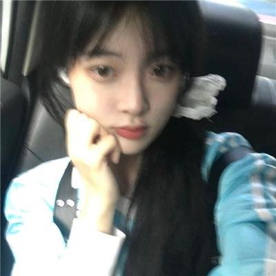科搜研之女2022